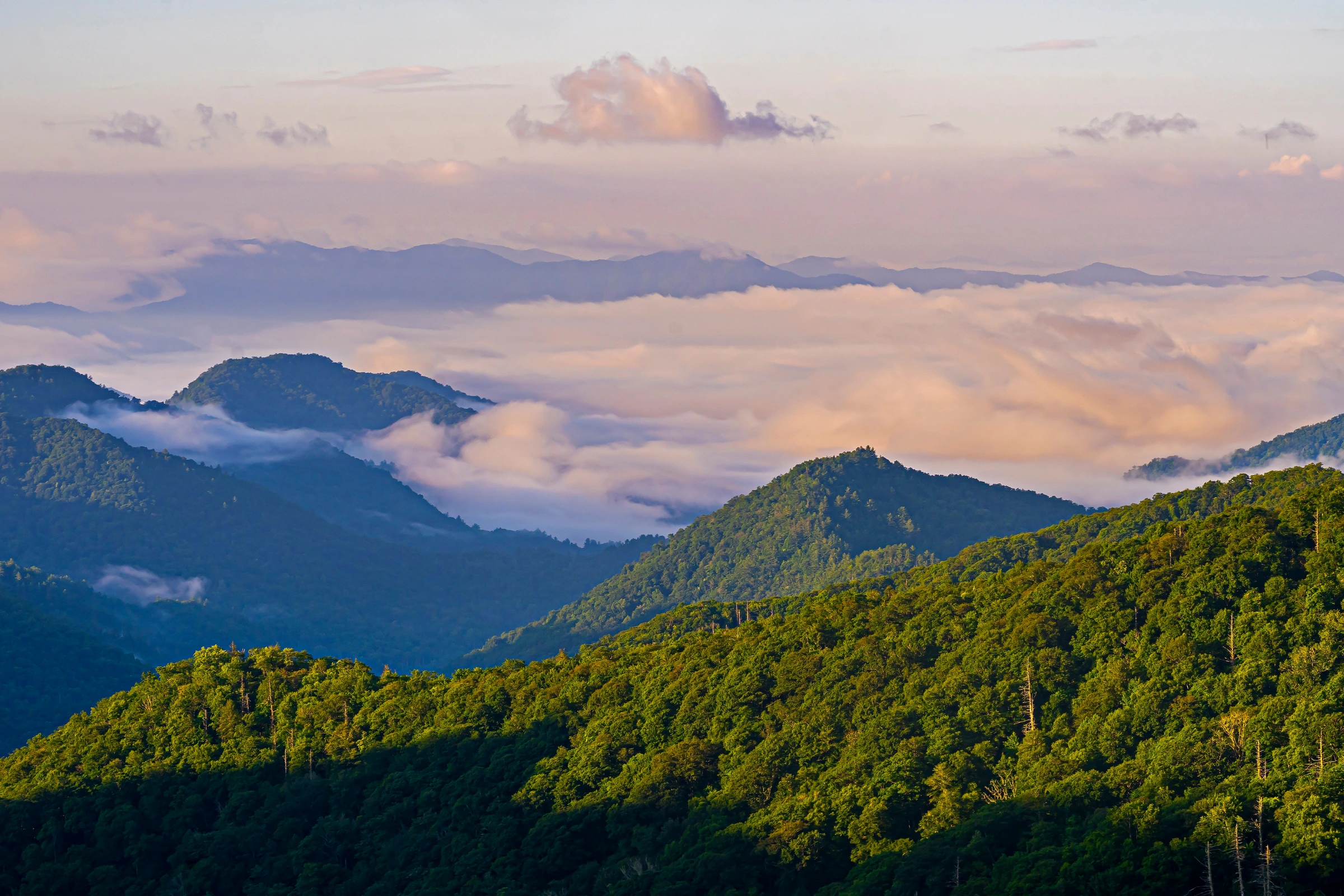 Great_Smoky_Mountains_National_Park,_Tennessee[1].webp
